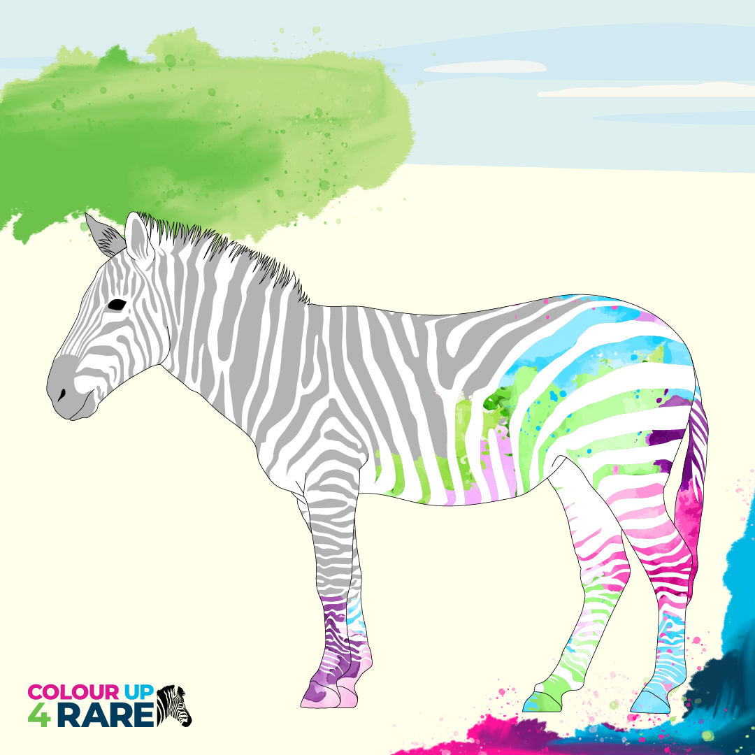 Key Visual mit buntem Zebra von colourUp4RARE
