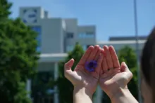 Hände die eine blaue Kornblume halten. Im Hintergrund sieht man das UCB Gebäude mit Logo.
