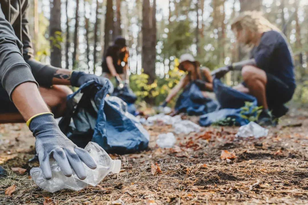 Personen, die Abfall in der Natur aufsammeln.